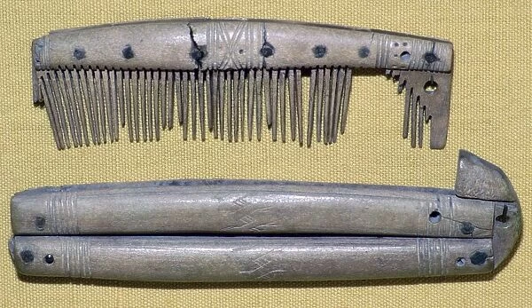 Viking Bone Comb and Comb Case