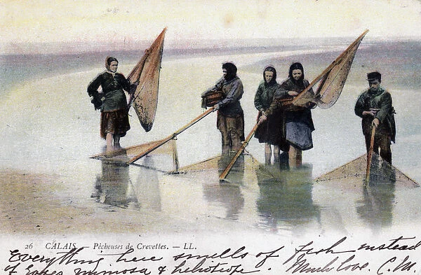 Women shrimp fishers, Calais, 1905