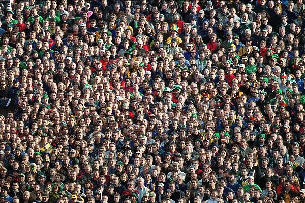 Irish Fans At Lansdowne Road