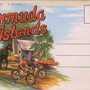 Greetings from Bermuda Islands