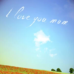 Sky Writing - I love you mum Digital Manipulation: Poppies USH-5396 - clouds and sky all made