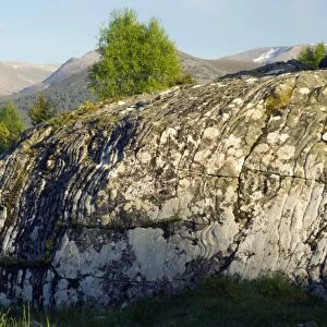 Eroded granite, Scotland