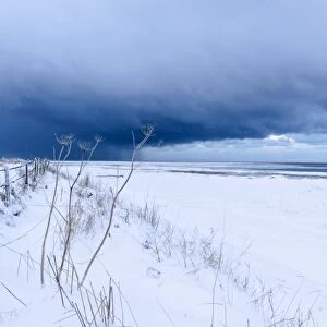 Winter storm clouds