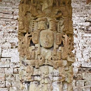 The Great Plaza, Estela N, Copan Ruins, UNESCO World Heritage Site, Honduras