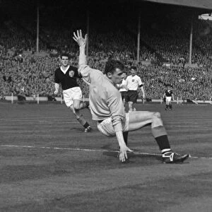 Scotland goalkeeper Frank Haffey - 1960 / 1 British Home Championship