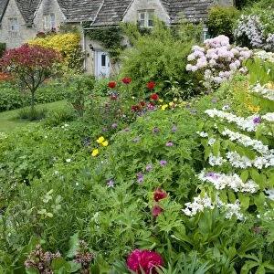 Cottage gardens, Bibury, Cotswolds, Gloucestershire, England, June