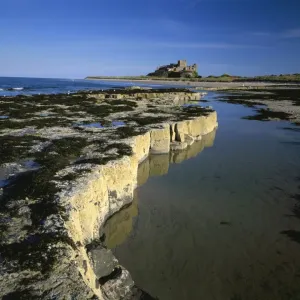 Bamburgh Castle Low Tide Print Bamburgh Castle Low Tide Print