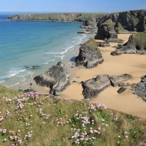Bedruthan Steps Print: Spring Bloom at the Giant's Stairway Bedruthan Steps Print: Spring Bloom at the Giant's Stairway