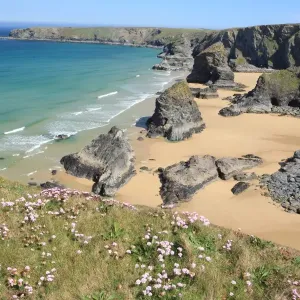 Print of The Bedruthan Steps on a Spring Day with Thrift in Bloom Print of The Bedruthan Steps on a Spring Day with Thrift in Bloom