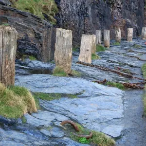 Boscastle Harbour Quayside Bollards Print Boscastle Harbour Quayside Bollards Print