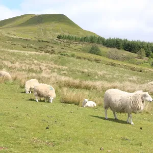 Brecon Beacons