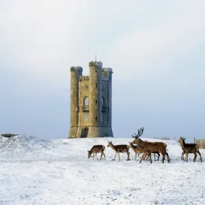 Broadway Tower Broadway Tower