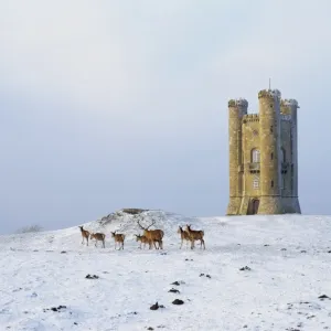 Broadway Tower Broadway Tower