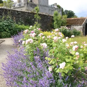 Buckland Abbey Buckland Abbey