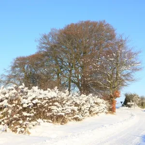 Burford Burford