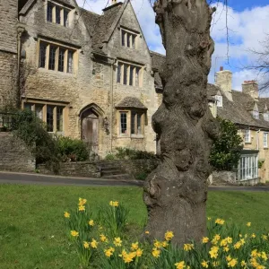 Burford High Street Print on Spring Morning Burford High Street Print on Spring Morning