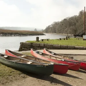 Cotehele Quay Print - Canoes on the River Tamar Cotehele Quay Print - Canoes on the River Tamar