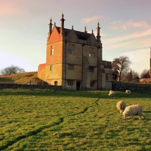 Chipping Campden Print: Sheep grazing below the church and Old Manor House Chipping Campden Print: Sheep grazing below the church and Old Manor House