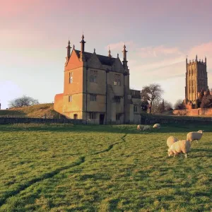 Chipping Campden Print: Sheep Grazing Below Church Chipping Campden Print: Sheep Grazing Below Church