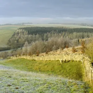 Les Cotswold en hiver. Les Cotswold en hiver.