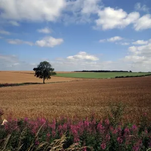 Les Cotswolds Les Cotswolds