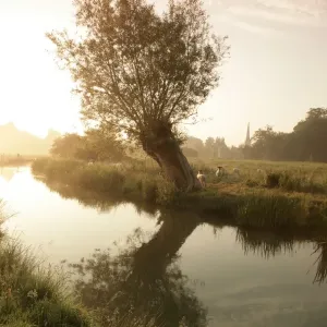 Early Morning on the River Windrush Print Early Morning on the River Windrush Print