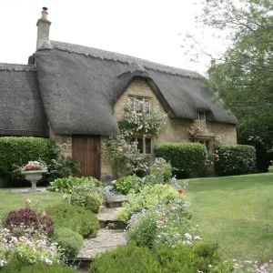 Cottage Garden