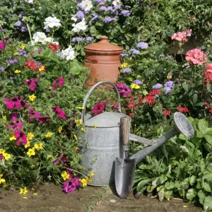 Cottage garden Cottage garden