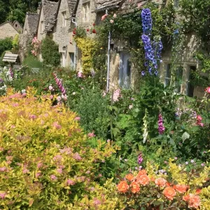 Cottage Garden