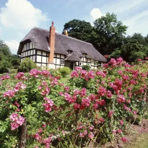 Eastnor Village Garden Print Eastnor Village Garden Print