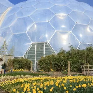 Eden Project Print: Early Spring Scene Outside the Tropical Biome Eden Project Print: Early Spring Scene Outside the Tropical Biome