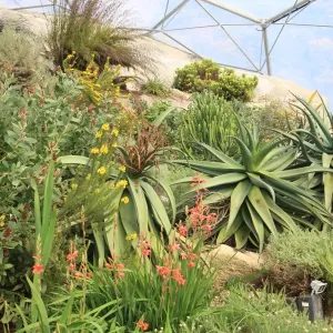 Eden Project Eden Project