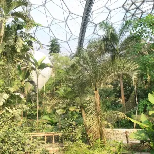 Eden Project Eden Project