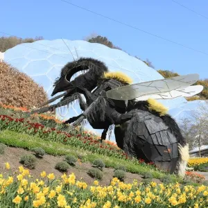 Eden Project Eden Project