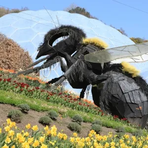 Eden Project Eden Project