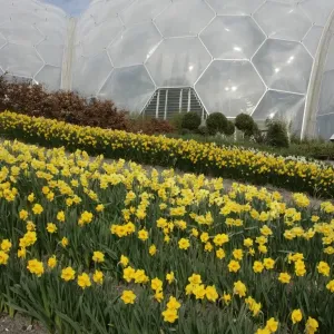 Eden Project Cornwall Print - Large Glass Biome Eden Project Cornwall Print - Large Glass Biome