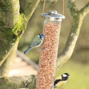 Print of Tits at Feeding Time in a Looe Garden Print of Tits at Feeding Time in a Looe Garden