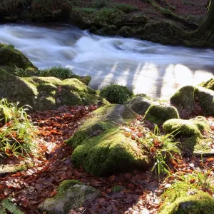 Golitha Falls Golitha Falls