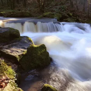 Golitha Falls Golitha Falls