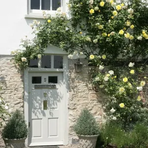 Haddenham Village Print with Roses Haddenham Village Print with Roses