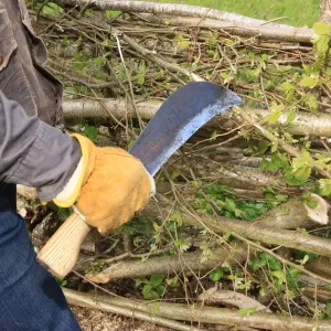 Hedging Hedging