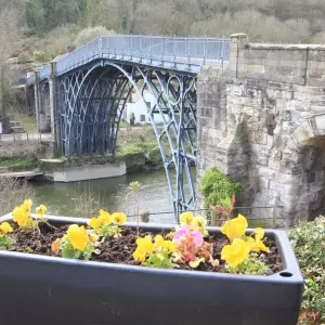 Ironbridge Print: Flowers by the River Severn Ironbridge Print: Flowers by the River Severn