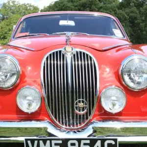 Jaguar Print at Classic Car Show Boconnoc Estate Cornwall 2012 Jaguar Print at Classic Car Show Boconnoc Estate Cornwall 2012