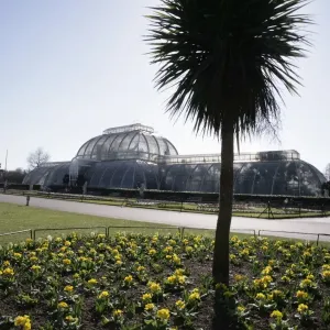 Kew-Gärten Kew-Gärten
