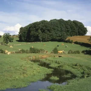 North Cerney Valley Print - Cotswold Countryside Scene North Cerney Valley Print - Cotswold Countryside Scene