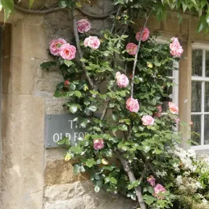 Oddington Oddington