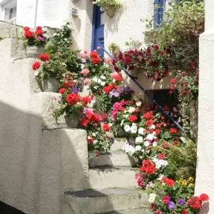 Polperro Cottage Print: Cornwall Village Scene Polperro Cottage Print: Cornwall Village Scene