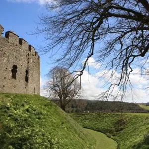 Restormel Castle Print: 13th Century Keep in Spring Restormel Castle Print: 13th Century Keep in Spring