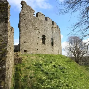 Restormel castle Restormel castle