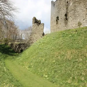 Restormel Castle Print - Spring Day in Cornwall Restormel Castle Print - Spring Day in Cornwall